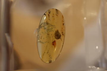 Facilities - Port Macquarie Observatory