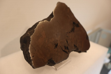 Facilities - Port Macquarie Observatory